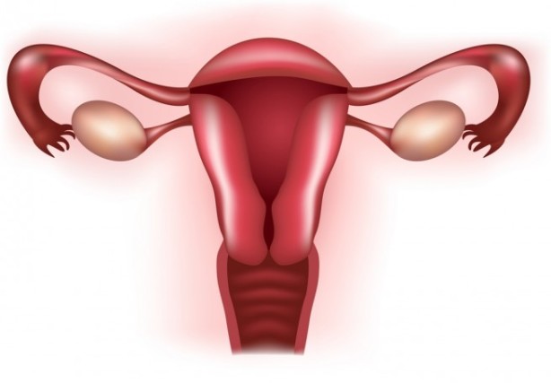 That is a pissed off uterus right there